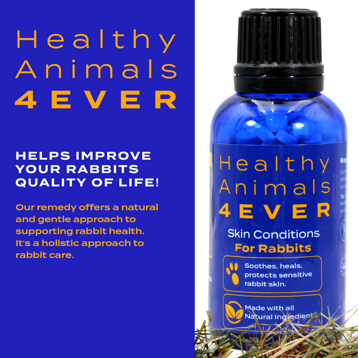 Skin Condition Remedy for Rabbits Triple Pack- Save 30%