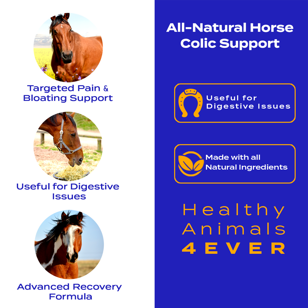 HORSE COLIC SUPPORT