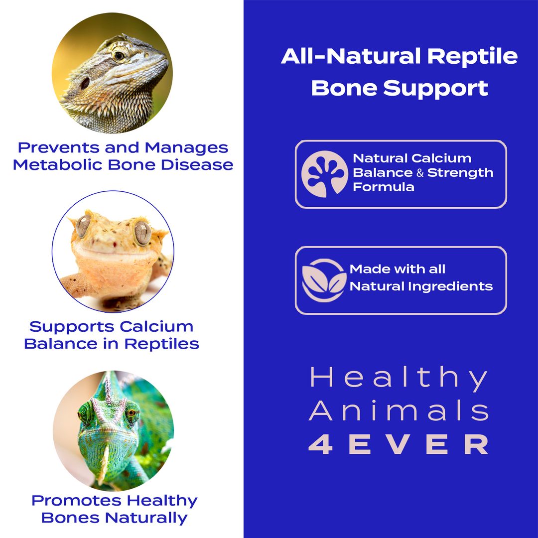 Bone Support for Reptiles - Natural Calcium Balance & Strength Formula Triple Pack- Save 30%