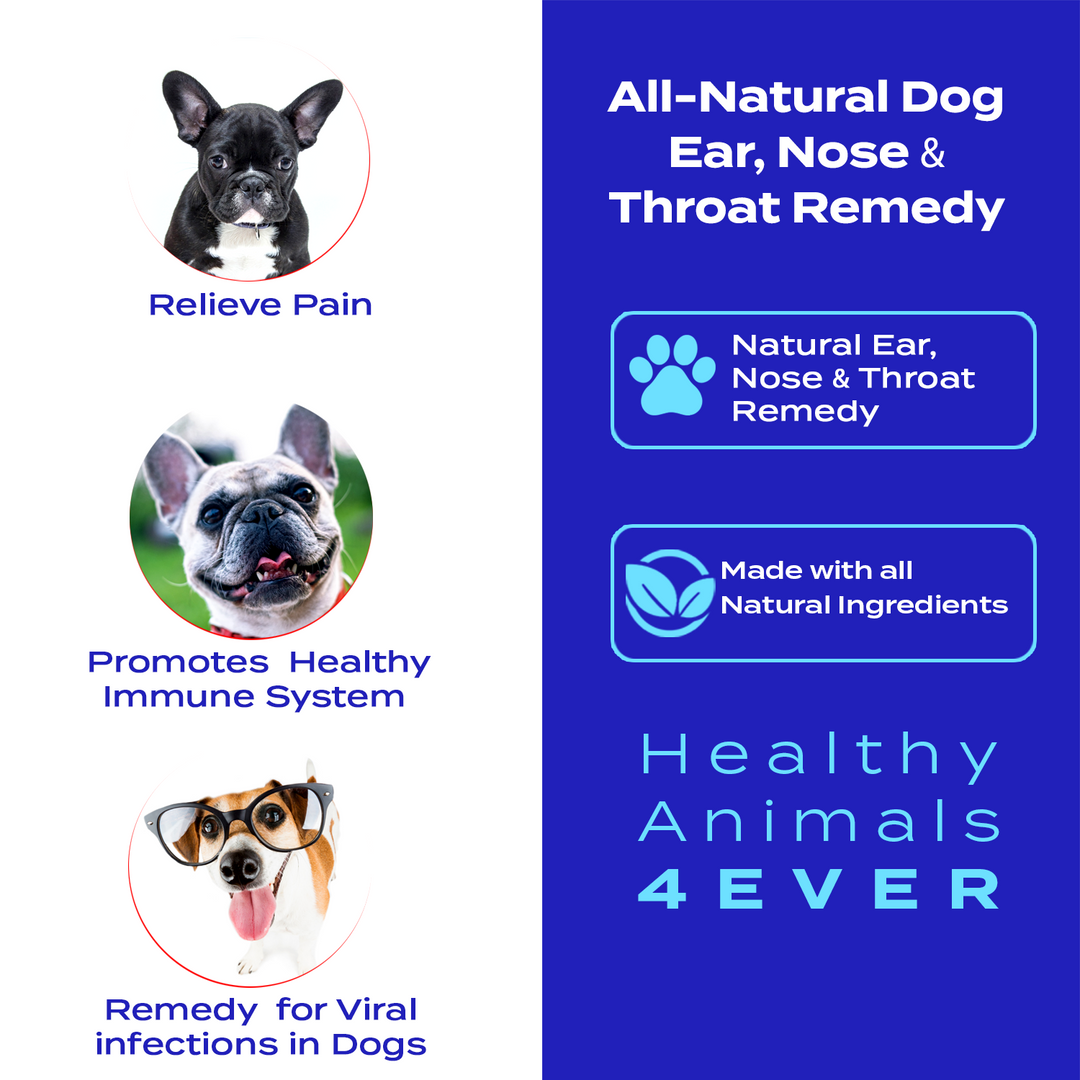 Ear Nose and Throat - Dogs  Six Pack- Save 50%