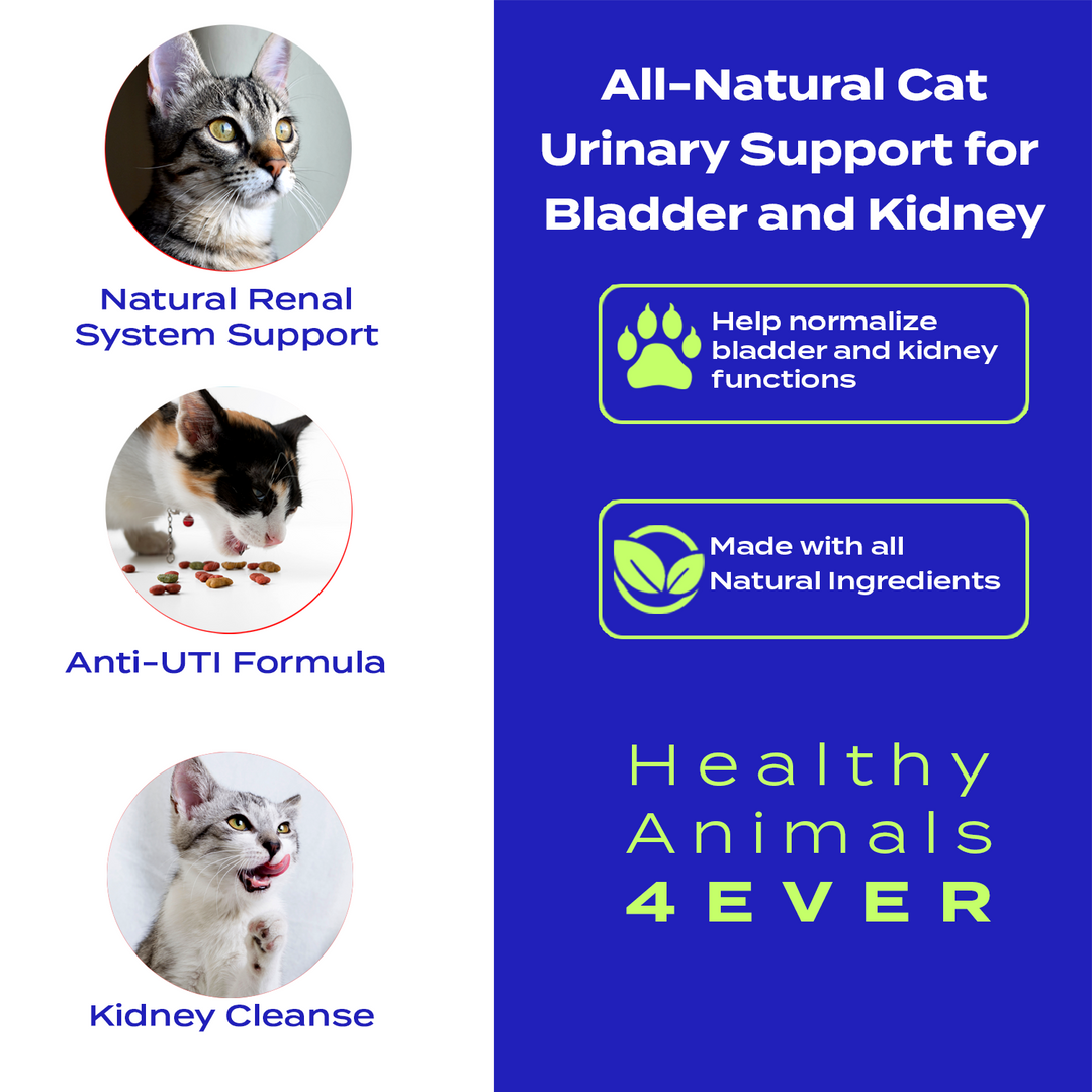 Urinary Support for Bladder and Kidney Formula for Cats, 300 Pellets, 30-Day Supply