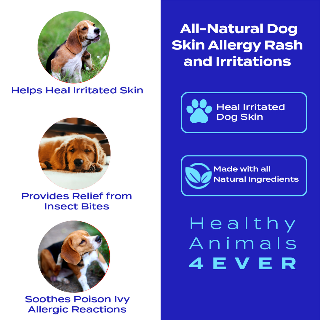 Skin Allergy Rash and Irritations - Dogs