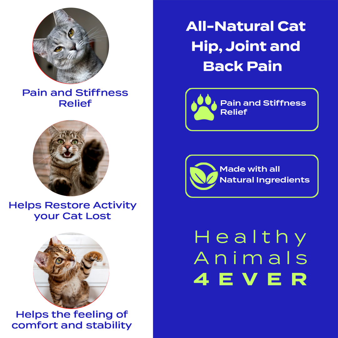 Hip, Joint and Back Pain Relief - Cats Six Pack- Save 50%