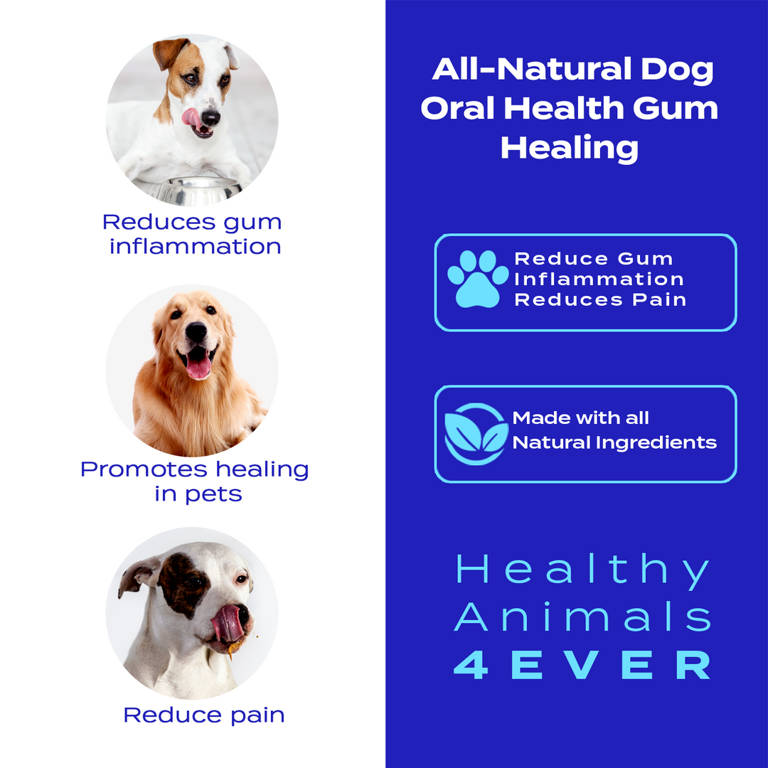 Oral Health Gum Healing Formula for Dogs, Triple Pack- Save 30%