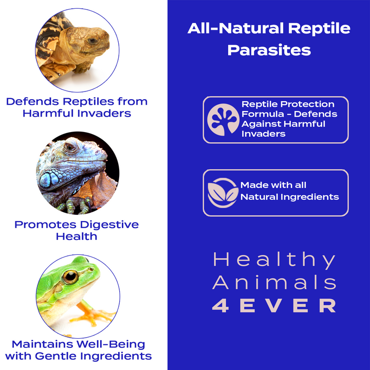 Reptile Protection Formula - Defends Against Harmful Invaders