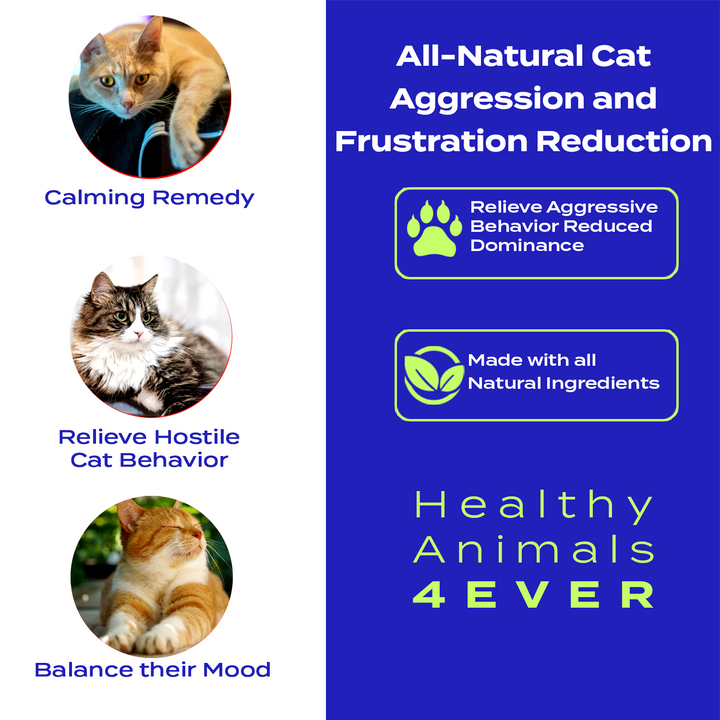 Aggression and Frustration Reduction - Cats