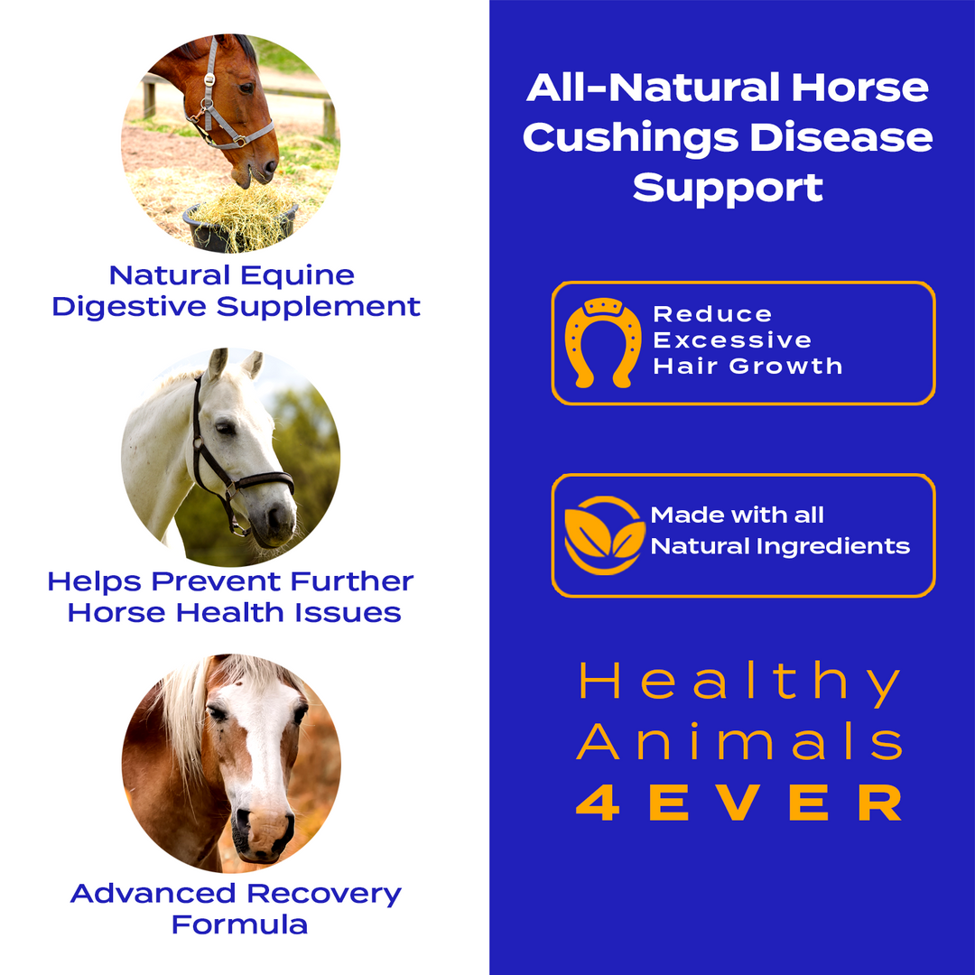 Horse Cushing Disease Support