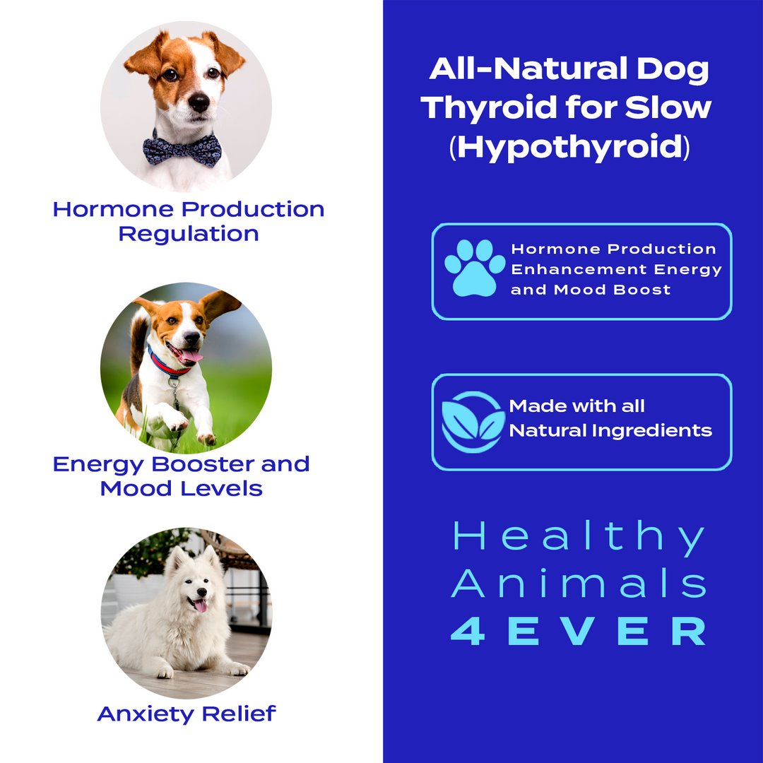 Natural Hypothyroidism Support Formula for Dogs, 300 Pellets,  Six Pack- Save 50%