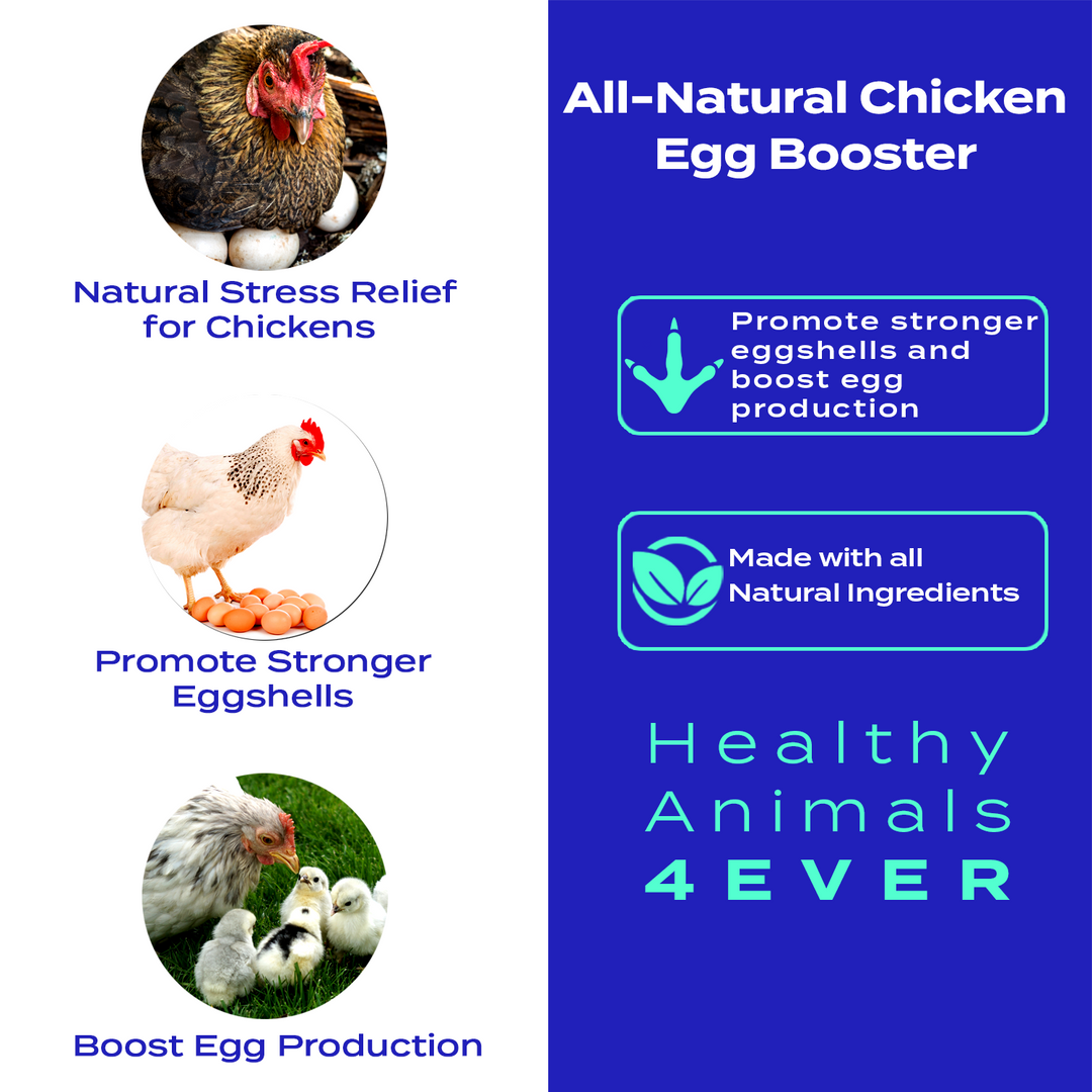 HEALTHYANIMALS4EVER ALL-NATURAL CHICKEN EGG BOOSTER (Liquid)