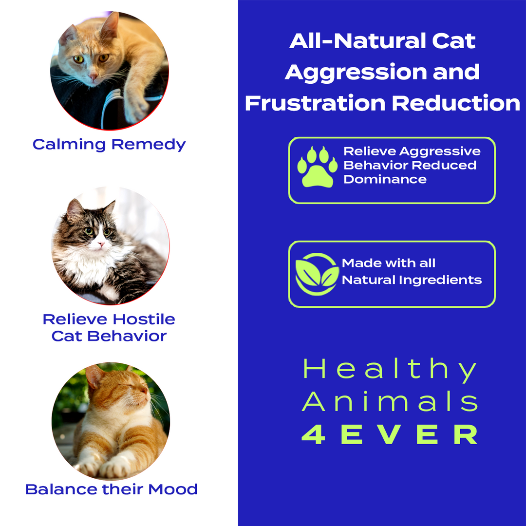 Aggression and Frustration Reduction - Cats Triple Pack- Save 30%