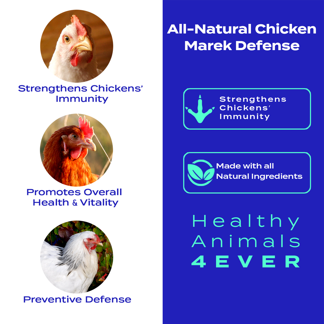 HEALTHYANIMALS4EVER ALL-NATURAL CHICKEN IMMUNITY SUPPORT FOR MAREK’S DISEASE