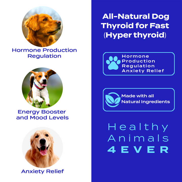 Natural Hyperthyroidism Support Formula for Dogs, 300 Pellets, 30-Day Supply