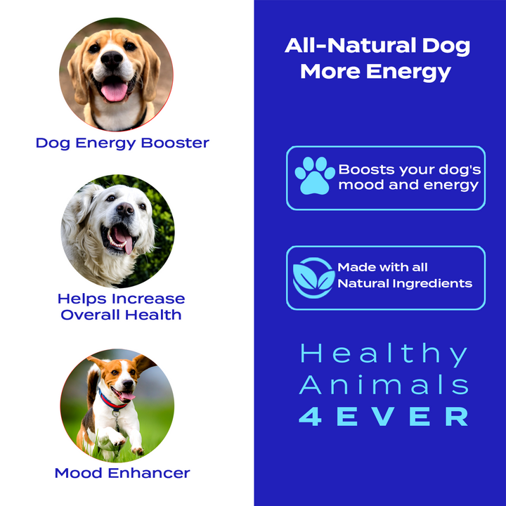 More Energy - Dogs Six Pack- Save 50%