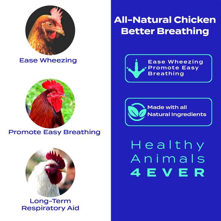 HEALTHYANIMALS4EVER ALL-NATURAL CHICKEN RESPIRATORY SUPPORT(Liquid)