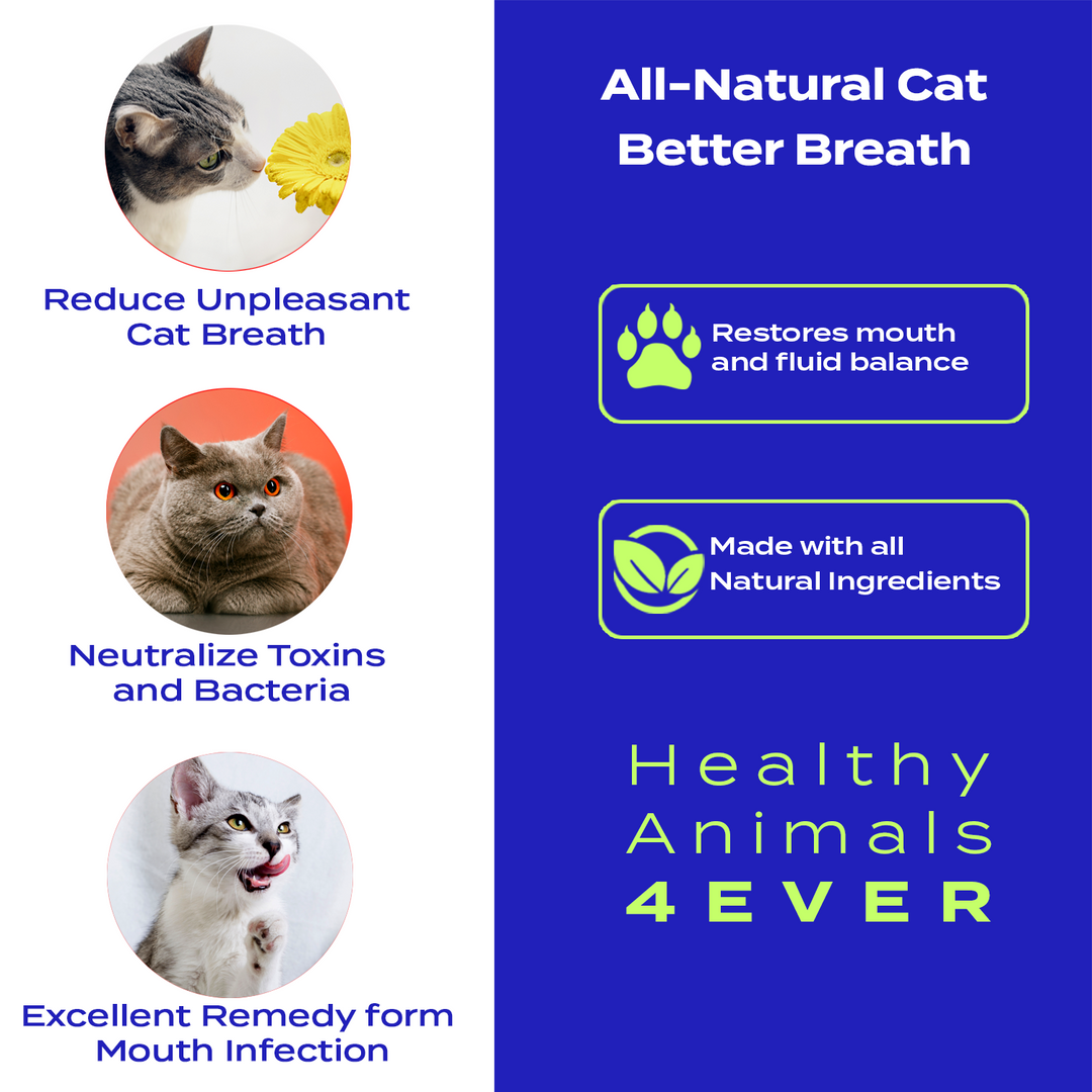 Better Breath - Cats Triple Pack- Save 30%