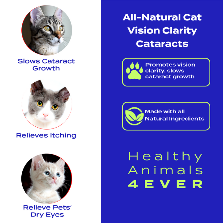 Vision Clarity/Cataracts Support Formula for Cats Triple Pack- Save 30%