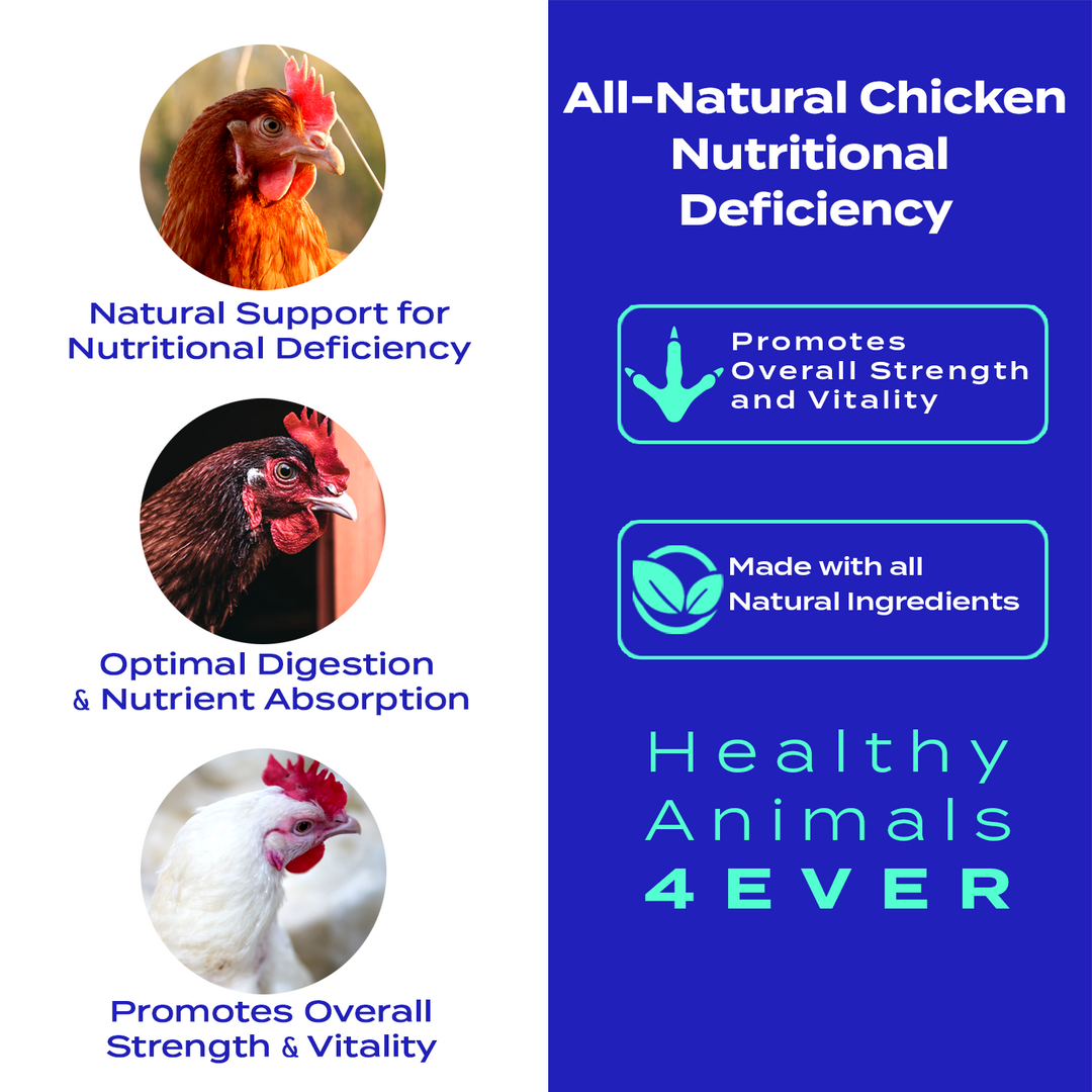 HEALTHYANIMALS4EVER ALL-NATURAL CHICKEN NUTRITIONAL DEFICIENCY SUPPLEMENT Triple Pack- Save 30%