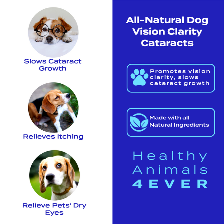 Vision Clarity/Cataracts Support Formula for Dogs, 300 Tablets, 30-Day Supply