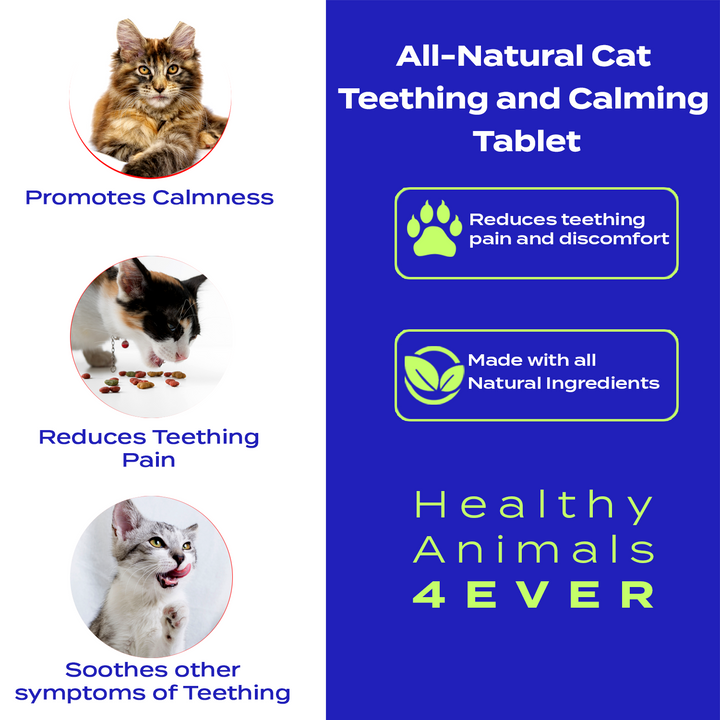 Teething Relief & Calming Formula for Cats,  Triple Pack- Save 30%