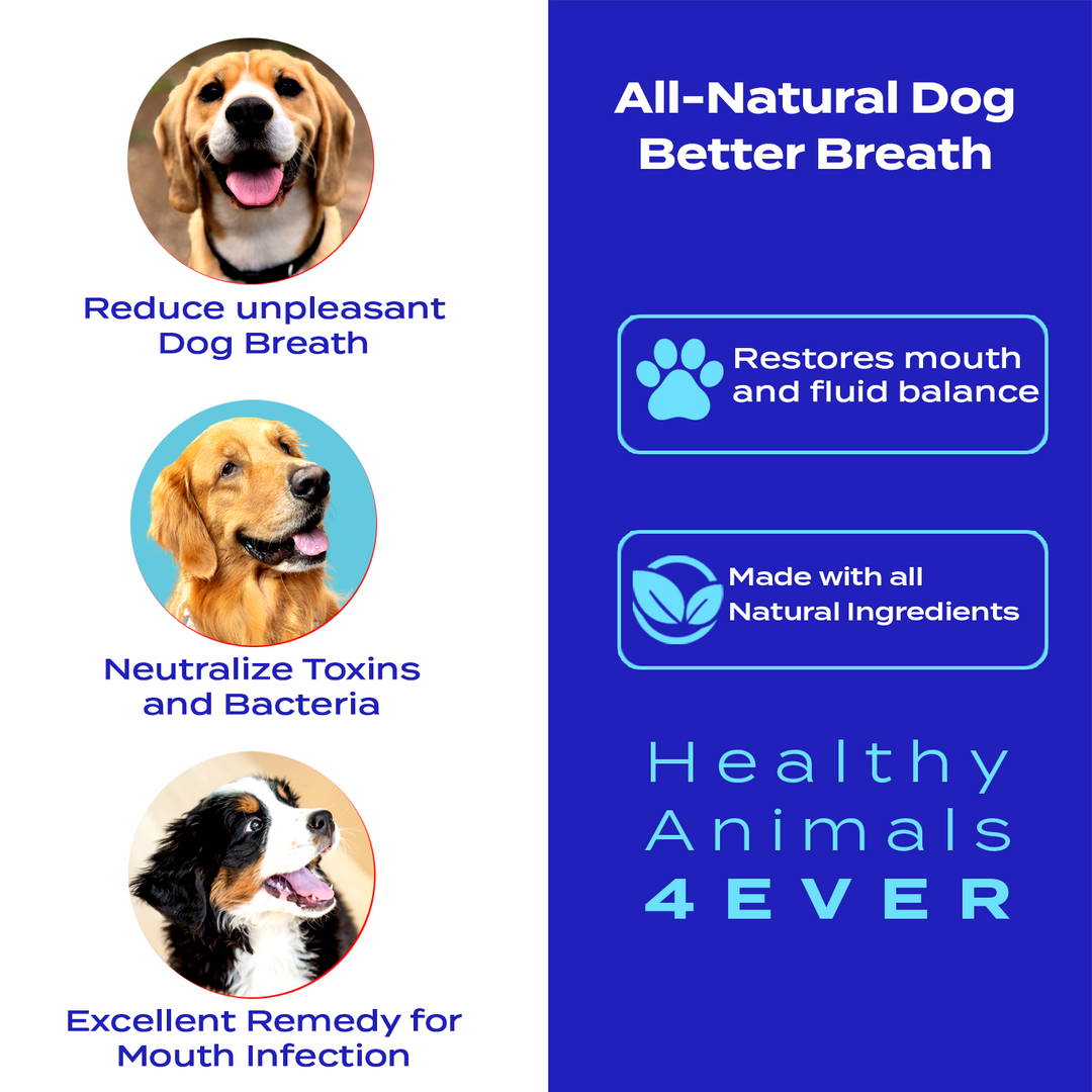 Better Breath - Dogs