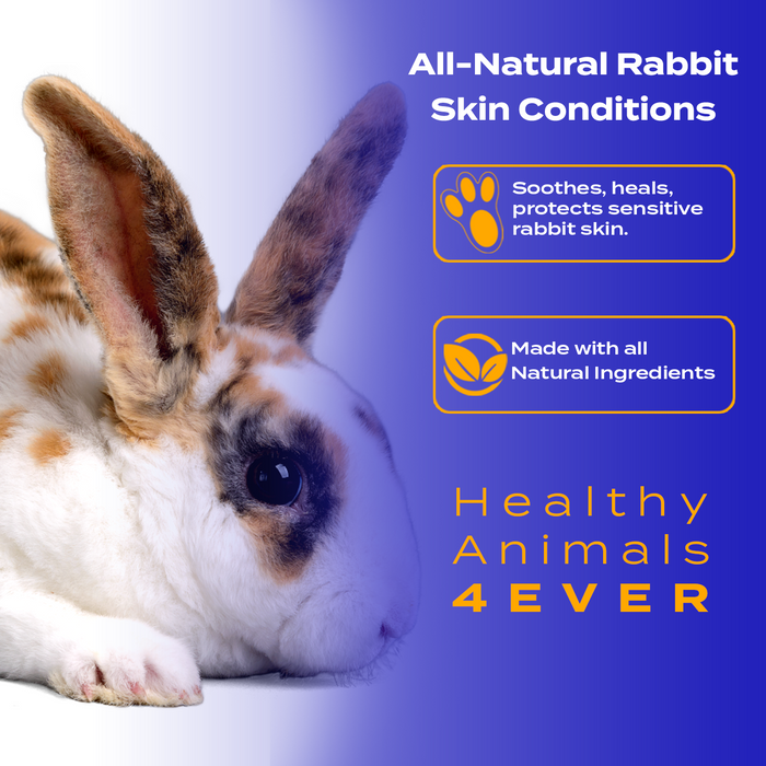 Skin Condition Remedy for Rabbits