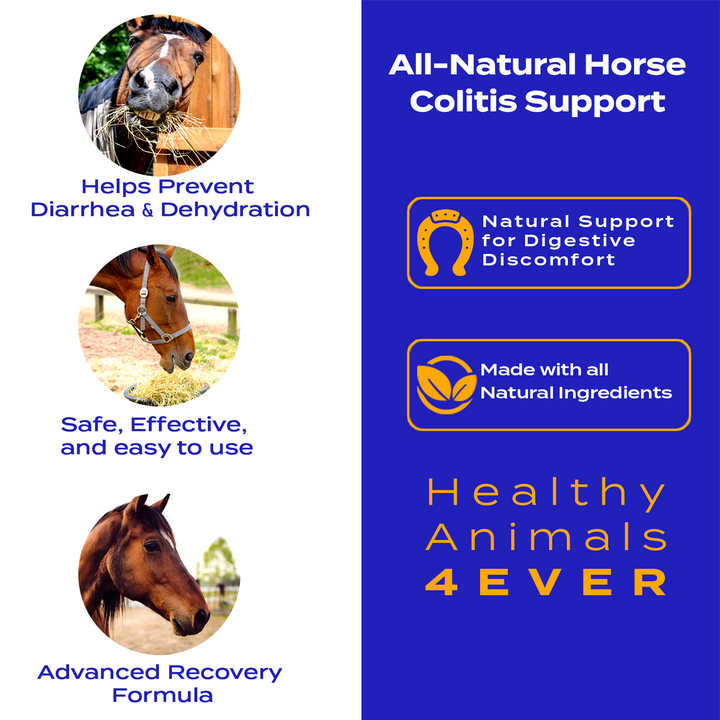 HORSE COLITIS SUPPORT (Liquid)