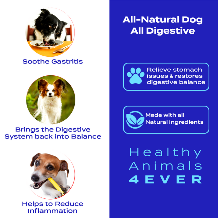 All Digestive - Dogs Triple Pack- Save 30%