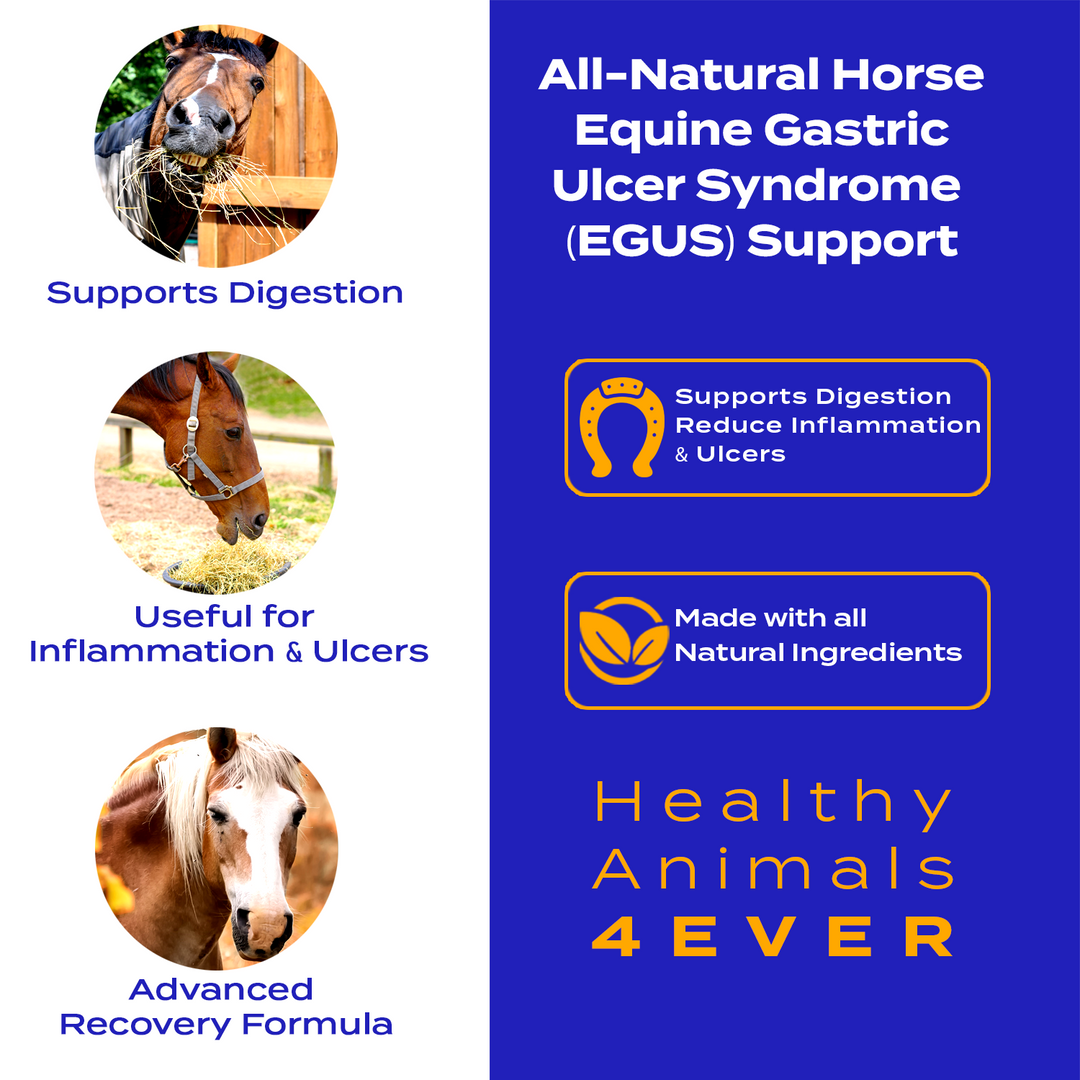 HORSE EQUINE GASTRIC ULCER SYNDROME SUPPORT