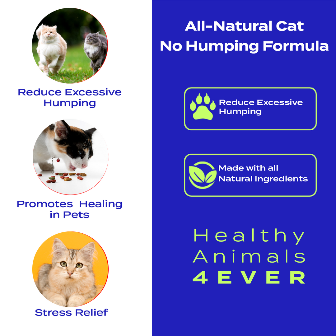 No Humping Formula - Cats Six Pack- Save 50%