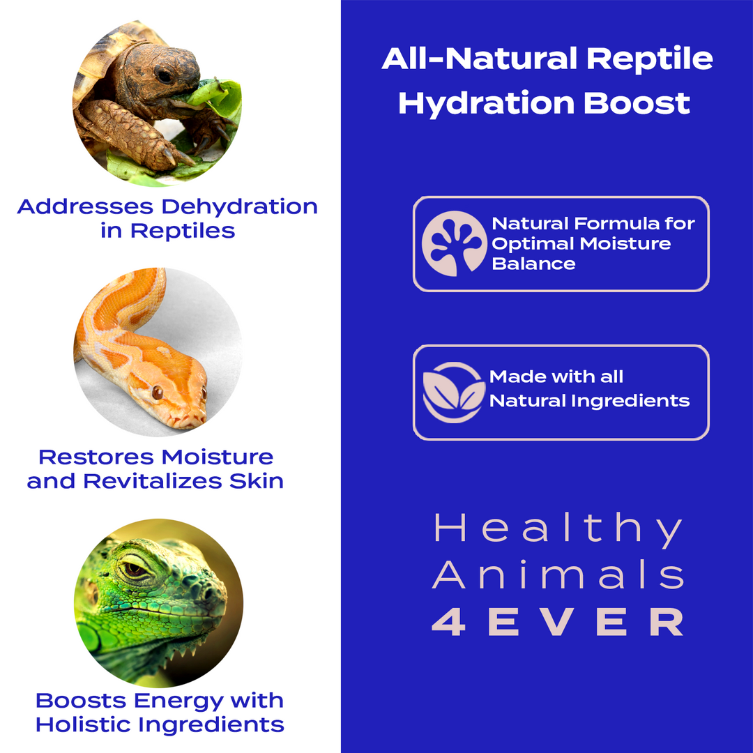 Hydration Boost for Reptiles: Natural Formula for Optimal Moisture Balance Six Pack- Save 50%