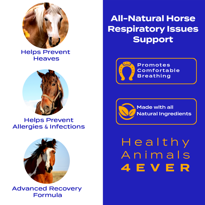 HORSE RESPIRATORY ISSUES SUPPORT (Liquid)