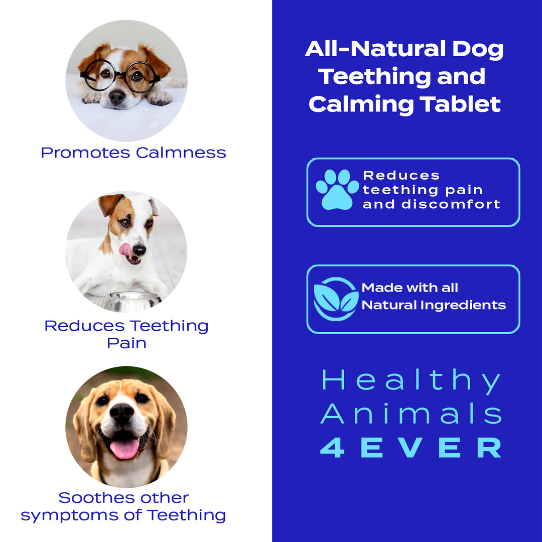 Teething Relief & Calming Formula for Dogs, 300 Pellets, 30-Day Supply