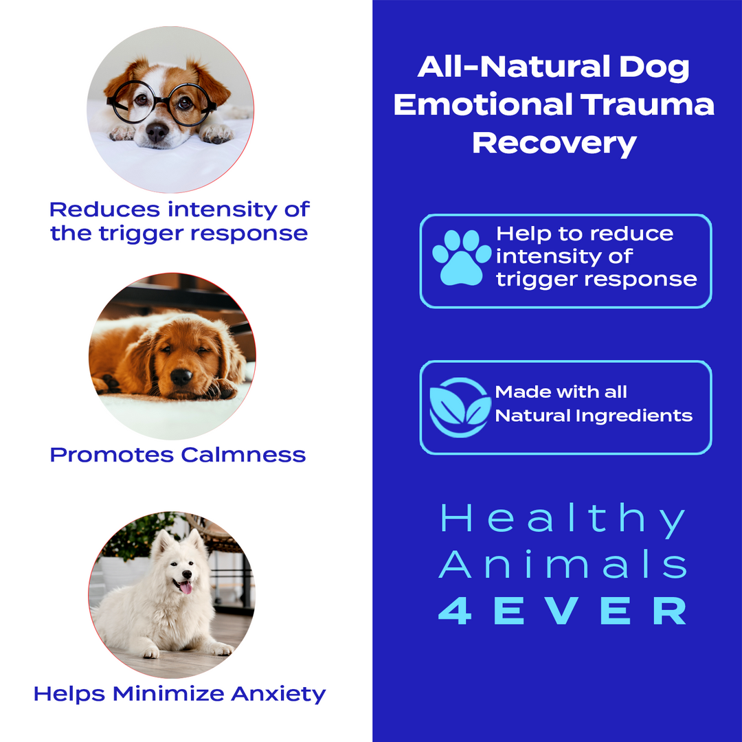 Emotional Trauma Recovery - Dogs  Six Pack- Save 50%