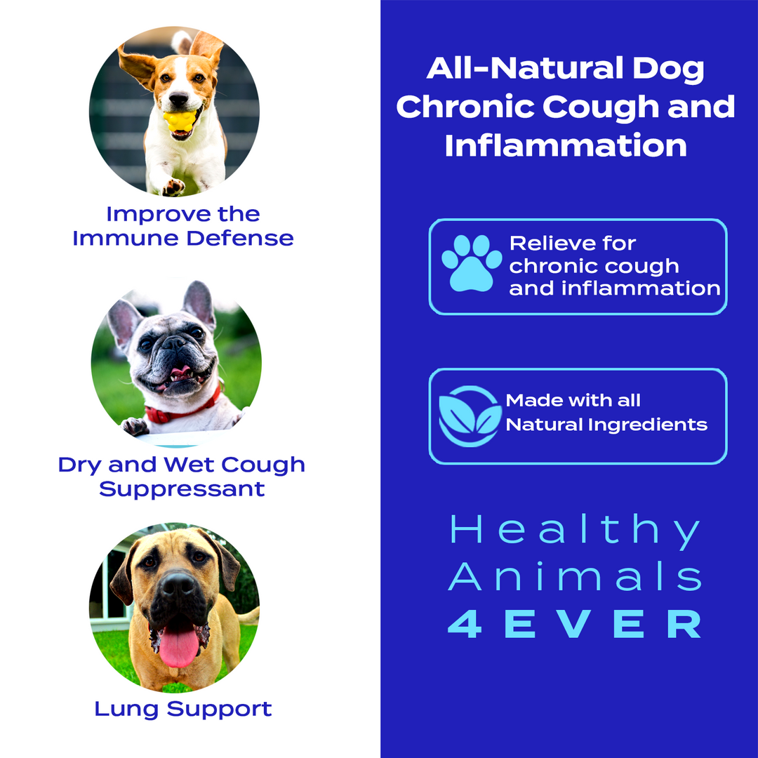 Dry or Wet Cough Formula for Dogs  Triple Pack- Save 30%