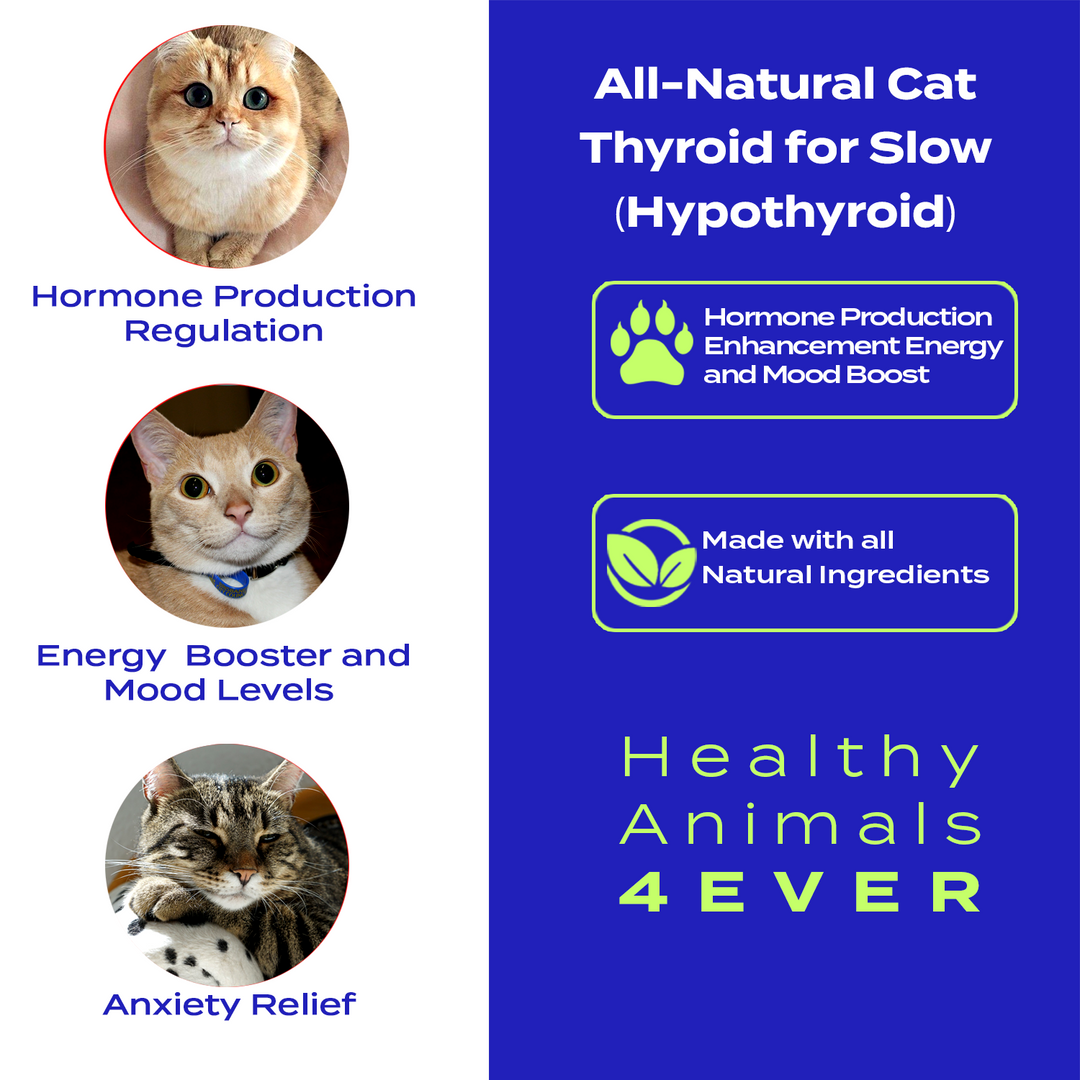 Natural Hypothyroidism Support Formula for Cats,  Triple Pack- Save 30%