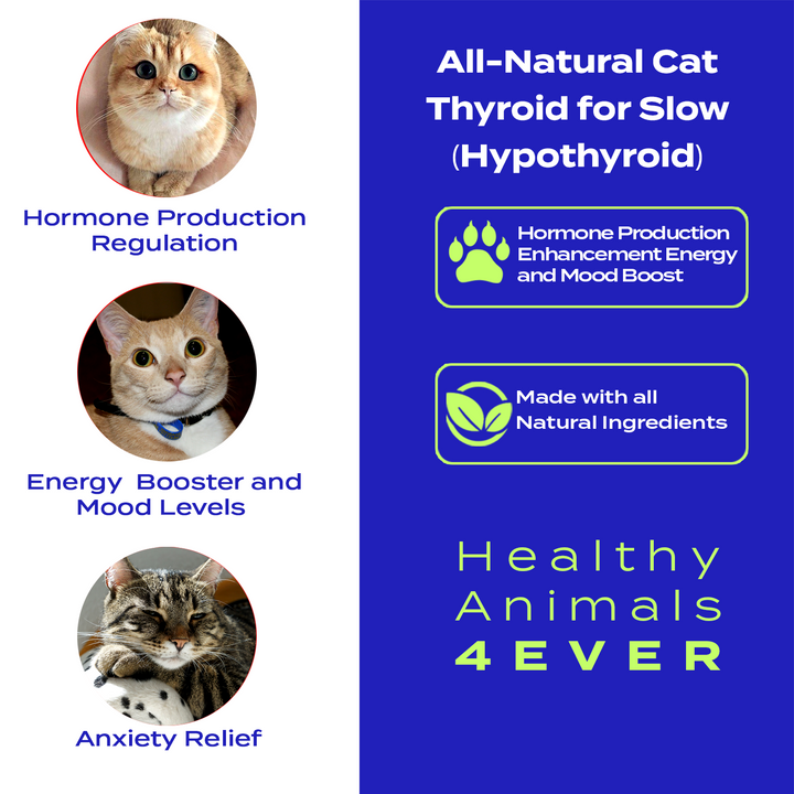 Natural Hypothyroidism Support Formula for Cats, 300 Pellets,  Six Pack- Save 50%