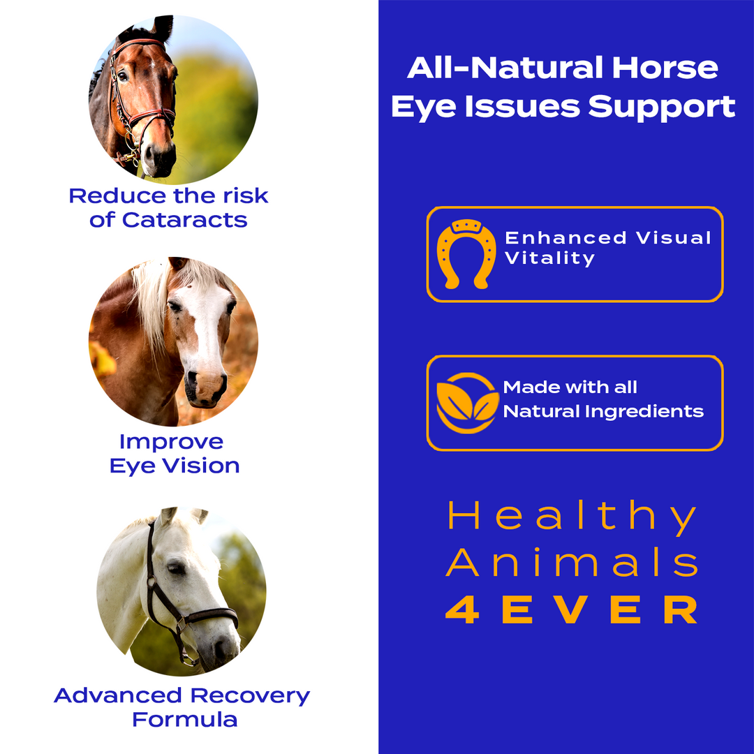 HORSE EYE HEALTH SUPPORT   Triple Pack- Save 30%