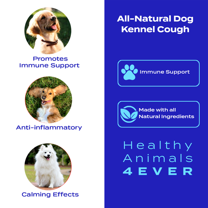 Kennel Cough Remedy