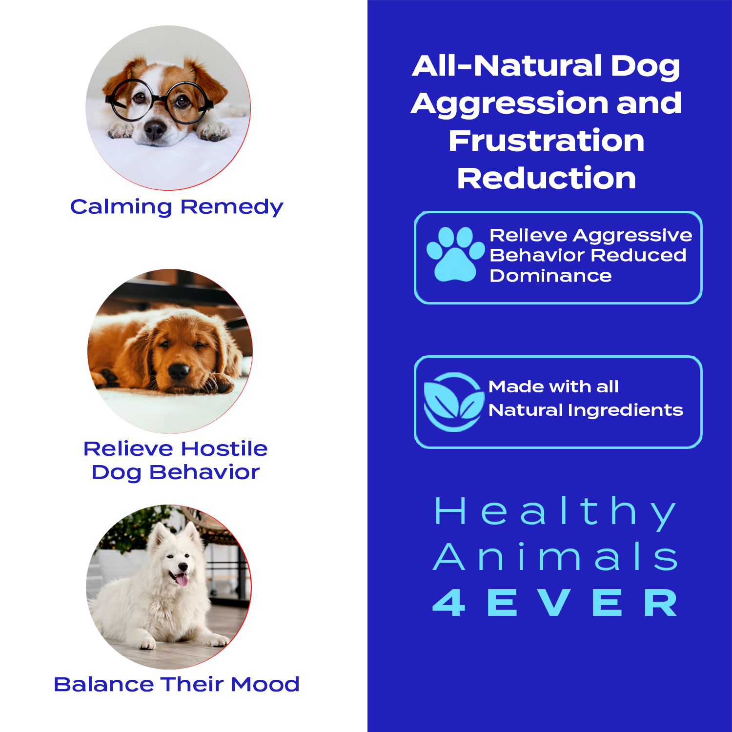 Calming Tablets for Stressed and Aggressive Dogs