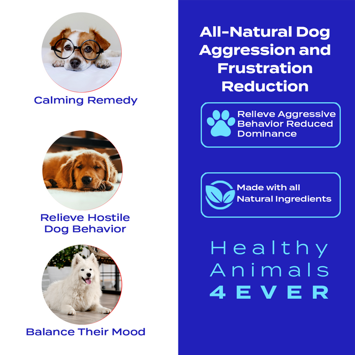 Aggression and Frustration Reduction - Dogs