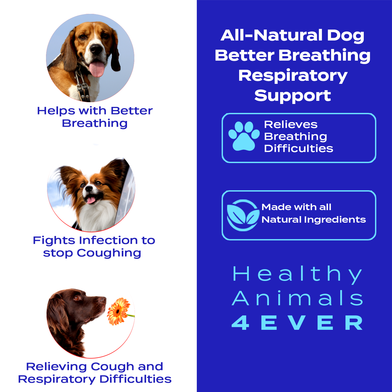 Better Breathing Respiratory Support Formula for Dogs
