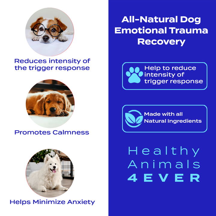 Emotional Trauma Recovery - Dogs