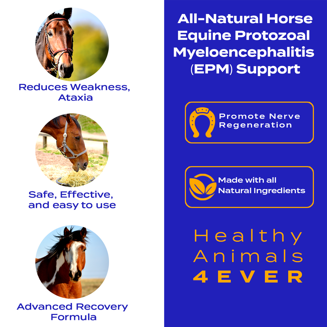 EQUINE PROTOZOAL MYELOENCEPHALITIS (EPM) SUPPORT  Triple Pack- Save 30%