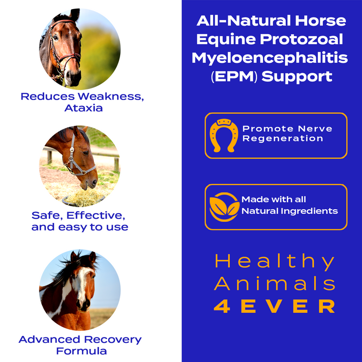 EQUINE PROTOZOAL MYELOENCEPHALITIS (EPM) SUPPORT