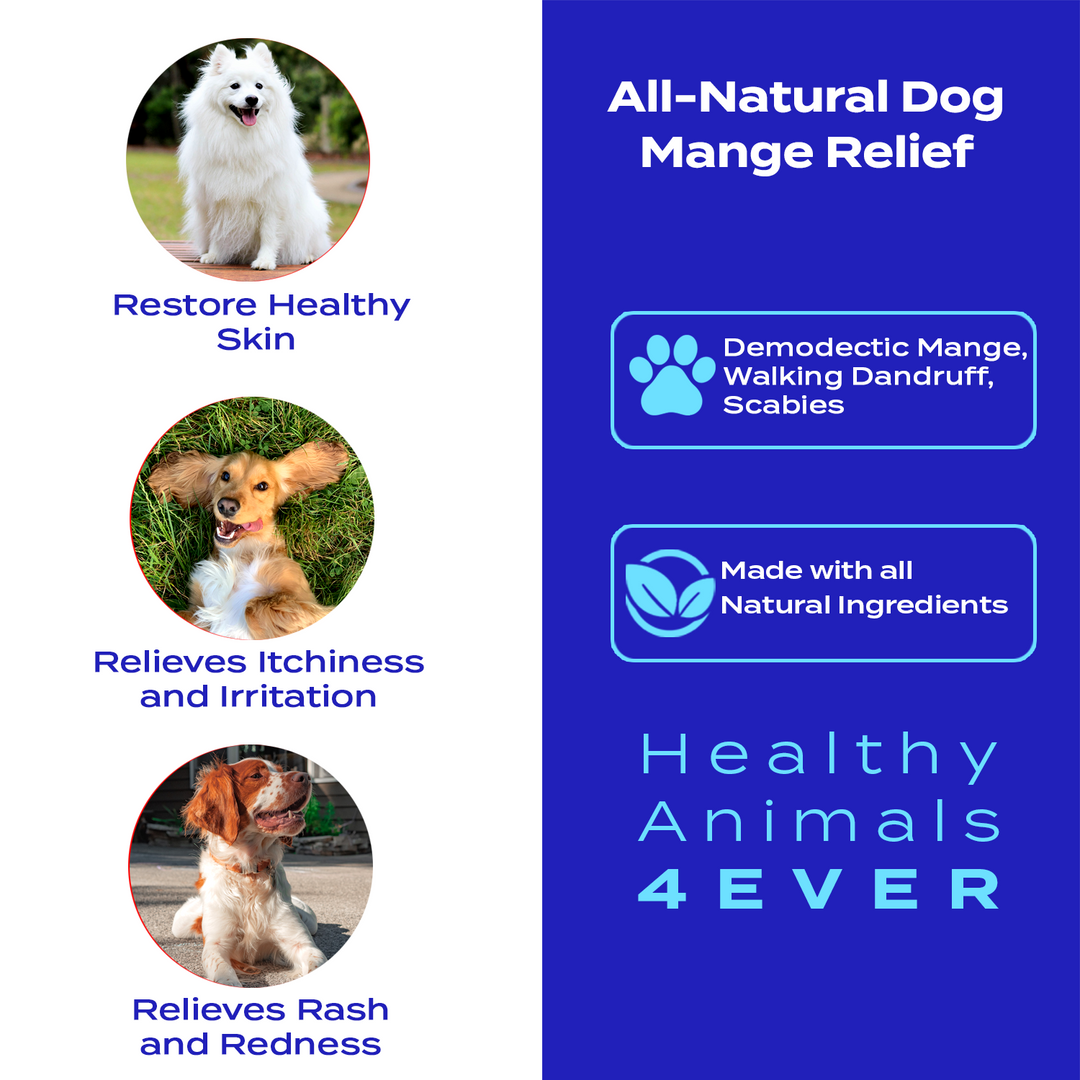 Mange Relief for Dogs - Treatment for Itchiness, Scabs, & Hair Loss Caused by Mites