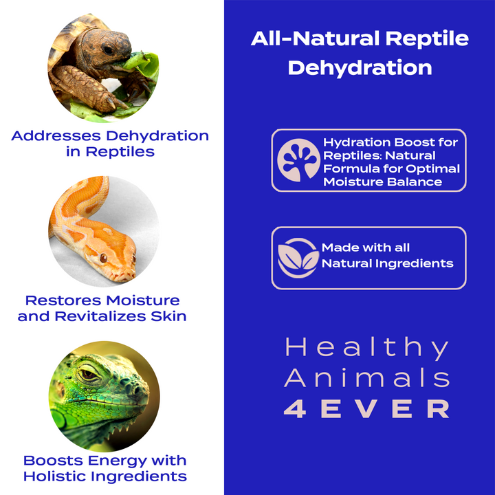 Hydration Boost for Reptiles: Natural Formula for Optimal Moisture Balance