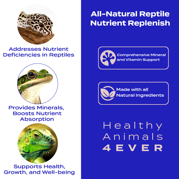 Reptile Nutrient Replenish: Comprehensive Mineral and Vitamin Support Six Pack- Save 50%