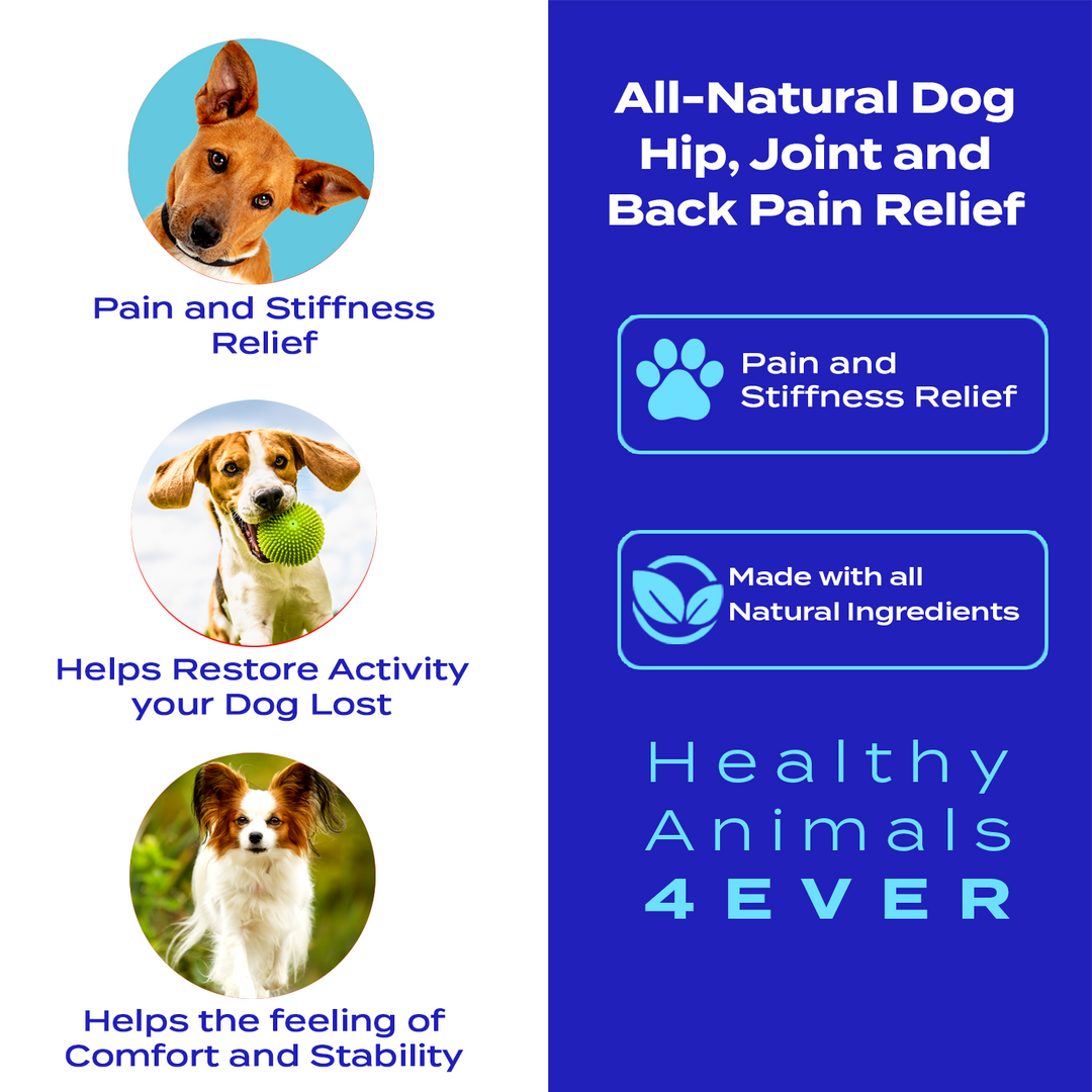 Hip, Joint and Back Pain Relief - Dogs  Six Pack- Save 50%