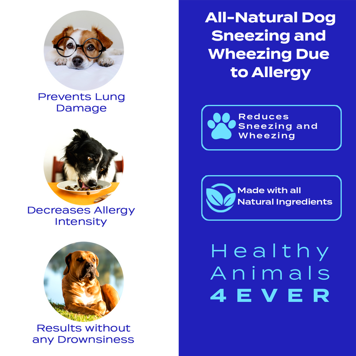 Sneezing and Wheezing Due to Allergy Formula for Dogs, 300 Tablets, 30-Day Supply