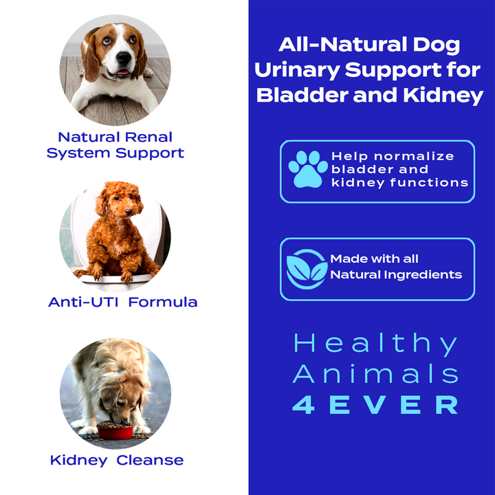 Urinary Support for Bladder and Kidney Formula for Dogs, Triple Pack- Save 30%